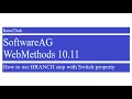 webMethods 10 11 - How to use BRANCH step with Switch property