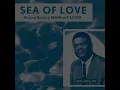 Sea of Love - Phil Phillips and The Twilights (1958) (Spliced Extended Mix)