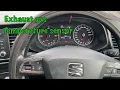 Seat Leon P246F00 and P246300