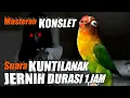 Lagu MASTERAN LOVEBIRD KONSLET SUARA KUNTILANAK || SUARA JERNIH DURASI 1 JAM