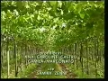 Download Lagu Vinheta   Globo Rural 2009