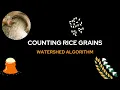 Rice Grains Counting and Classfication Solving touching grains problem