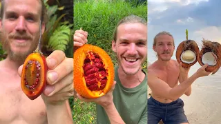 10 Fruits That Look Like Works Of Art