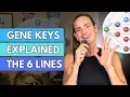 The Gene Keys LINES Explained Understand What Your Gene Key Lines Mean