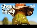 Lagu The Intruder | Shaun the Sheep Season 4 | Full Episode