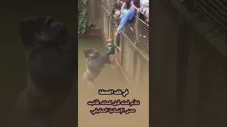 في تلك اللحظة تكل م فعله قبل كلماته فأثبت معنى الإنسانية الحقيقي اكسبلور India Germany 