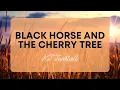 KT Tunstall - Black Horse and The Cherry Tree