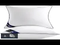 Siluvia 20 x20 Pillow Inserts Set of 2 Decorative Square Square Throw 20