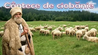 sunt cioban cu multe oi colaj jiene si cantece de pastorit