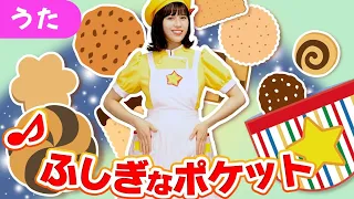 The Magic Pocket Song 