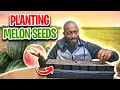 How to Start Watermelon Seeds