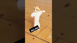 ريم ريم ريم الحلوة ريم 