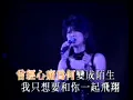 葉蒨文 Sally Yeh - 曾經心痛 (國語) (1993 瀟灑走一回演唱會) (Official music video)