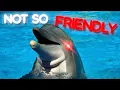 Why Dolphins Are More Dangerous Than Sharks Beneath The Blue