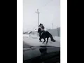 Download Lagu Девушка на коне зимой голопом😱 It's Russia💉