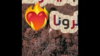 حصريا      بصوت فنانة الموسم   الفنانة أحلام الأرحبي   سكر واحلى من السكر      دندنها