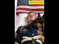 K9 Loyalty: Soldier’s Final Rest with His Faithful Dog Emotional Military Tribute #shorts #loyalty