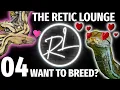 Breeding Reticulated Python s The Retic Lounge
