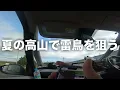[Alpine Birdwatching] Chase the Phantom Bird!!