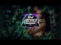 Download Lagu K-391, Alan Walker, Tungevaag, Mangoo - PLAY - VERSÃO ARROCHADEIRA