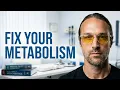 Webinar Explore the Connection Between Nutrient Utilization Metabolism and Systemic Wellness