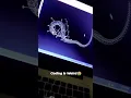Creating reptile using Html Css JavaScript