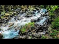 Rainbow Trail Colorado Hiking Trails