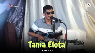 Download TANIA ELOTA - Kancil AO Production live performance Desa Tocina Kab. Bone 2023 !! Lagu Bugis MP3