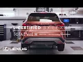 The Lexus Vehicle Journey Total View Process Lexus