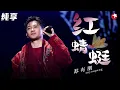 满满回忆杀！苏有朋再唱小虎队金曲《红蜻蜓》引爆全场！#跨年经典 clip