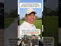 Download Lagu KETAUAN SM PAK DEDI PACARAN #dedimulyadi #kdm #dedimulyadichannel #fujian #fuji #verrelbramasta