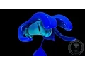 Neuroanatomy Diencephalon Thalamus Hypothalamus