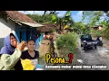 Download Lagu PESONA❓KAMPUNG MEKAR WANGI DESA CIJANGKAR PIKABETAHEN MASIH ADA RUMAH PANGGUNG TRADISIONAL|jawabarat
