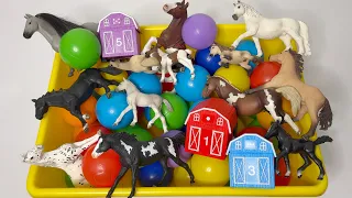 ¡Especial de Caballos, Yeguas y Potrillos! 🐴 ANIMALES de juguete para niños ✨ Mimonona Stories