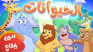 أغنيه الحيوانات بدون ايقاع قناة مرح Marah Tv 