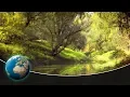 Download The Sava Floodplains - Croatia's secret paradise mp4 3gp mp3 videos - waplic