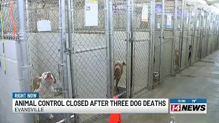 Dog deaths at Evansville Animal Control spur temporary closure