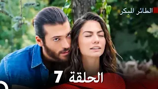Arabic Dubbed Large Version 7 النسخة الطويلة الحلقة 
