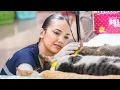 Lagu Haico van der veken - volunteer sterilisasi kucing W/ kita bisa #haicovanderveken 