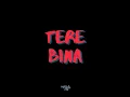 Tere Bina