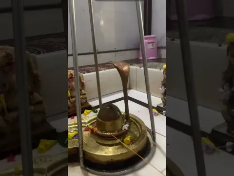 Har Har Mahadev ⚜️🔱