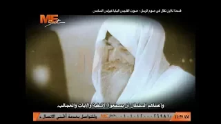                                                                              دندنها