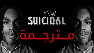                      أنتحاري    مترجمة واضحة دندنها