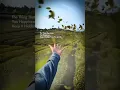 Download Lagu The Thing That Gives You Happiness ✨ Keep It Hidden From The World 🌍 #Happiness #Nature #Shorts