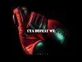 Jahshii - Born Fighter (Lyrics)