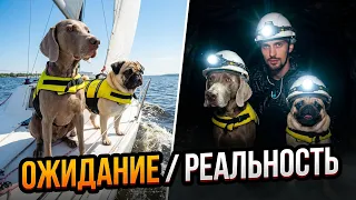 ПОЕХАЛИ С СОБАКАМИ В ТАТАРСТАН И БЫЛИ В ШОКЕ! 😳