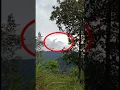 Download Lagu NYATA!! PENAMPAKAN SEPERTI  MAKHLUK BERSAYAP DI LANGIT II BUKTI KUASA ALLAH #jokokendil #shorts
