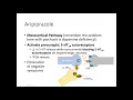 Aripiprazole Pharmacology Review