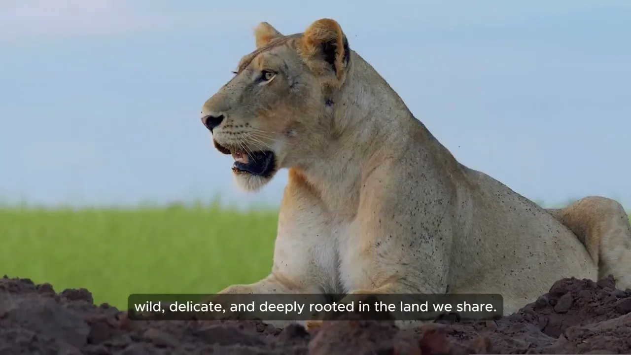 Acting for Sustainability: Our Biodiversity Approach