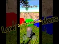 Exploring different options with color quantizing dithering and blending